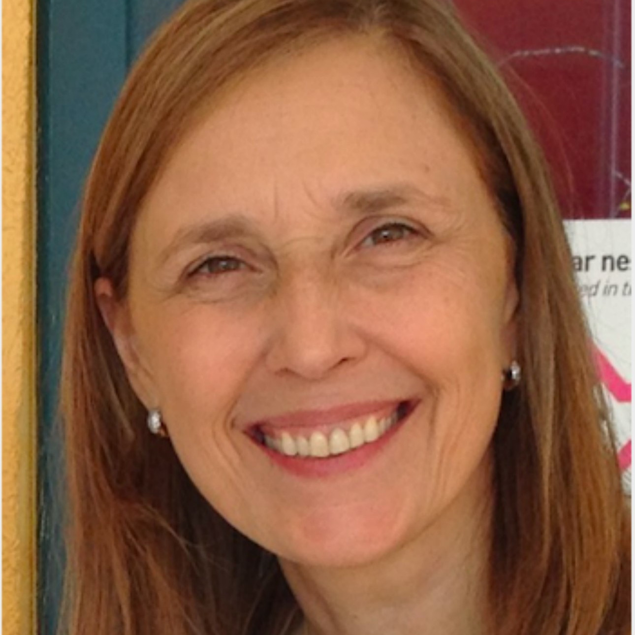 Imagem ilustrativa do convidado Maria Angelina Nardi de Souza Martinez