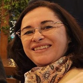 Imagem ilustrativa do convidado Mônica Pires de Castro